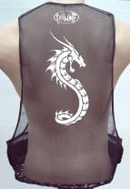dragon13 back bk